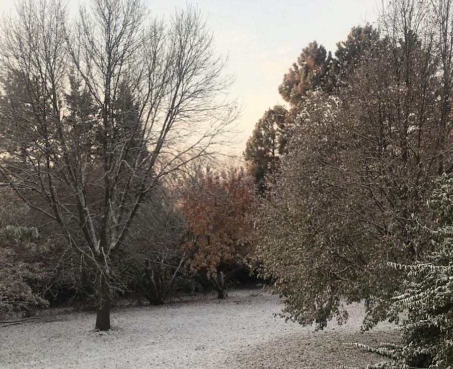 Snow dusting on Tuesday, Oct. 29, 2019. Lincoln scheduled for another coating of snow on Friday, Dec. 10. 