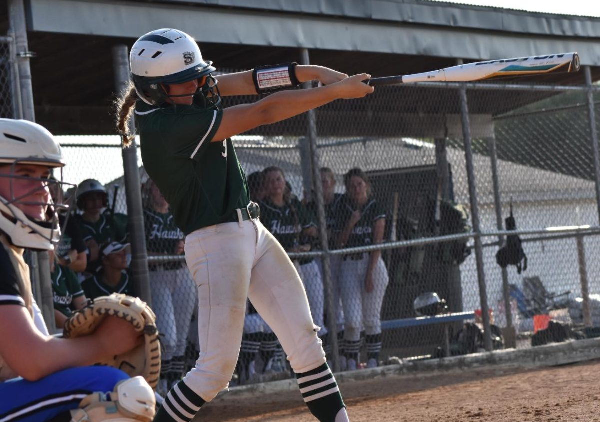 Sophomore Brenly Noerrlinger takes a swing against Millard North. The Hawks are back in action on Sept. 19. and 20.