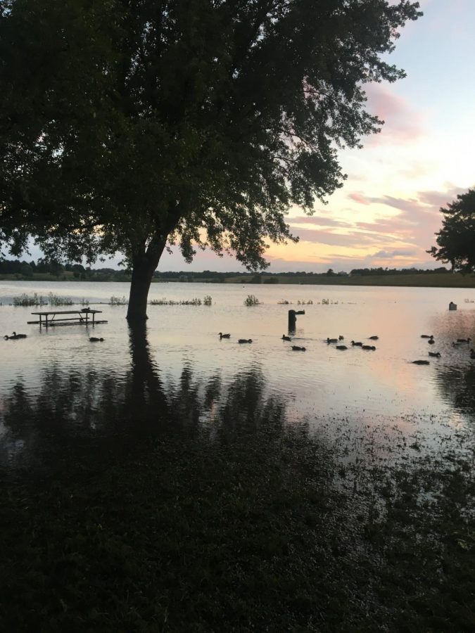 A picnic bench and water fountain are underwater at Holmes Lake due to flooding.
