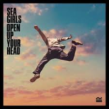 The album cover for Open Up Your Head. This is the band Sea Girls first album. Picture courtesy of theguardian.com