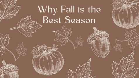 Top Five Reason Why Fall is the Best Season