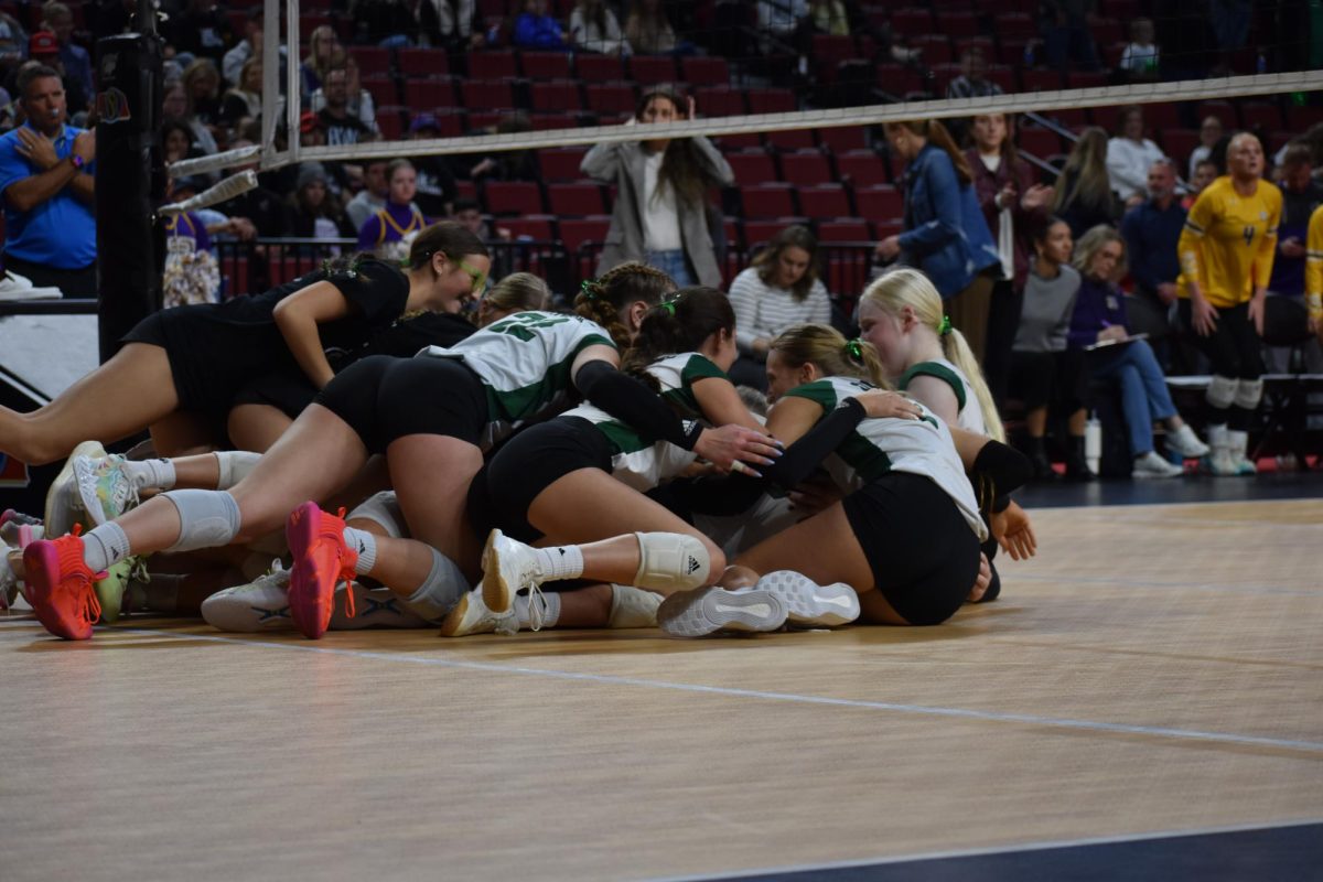 State+Volleyball+Photos