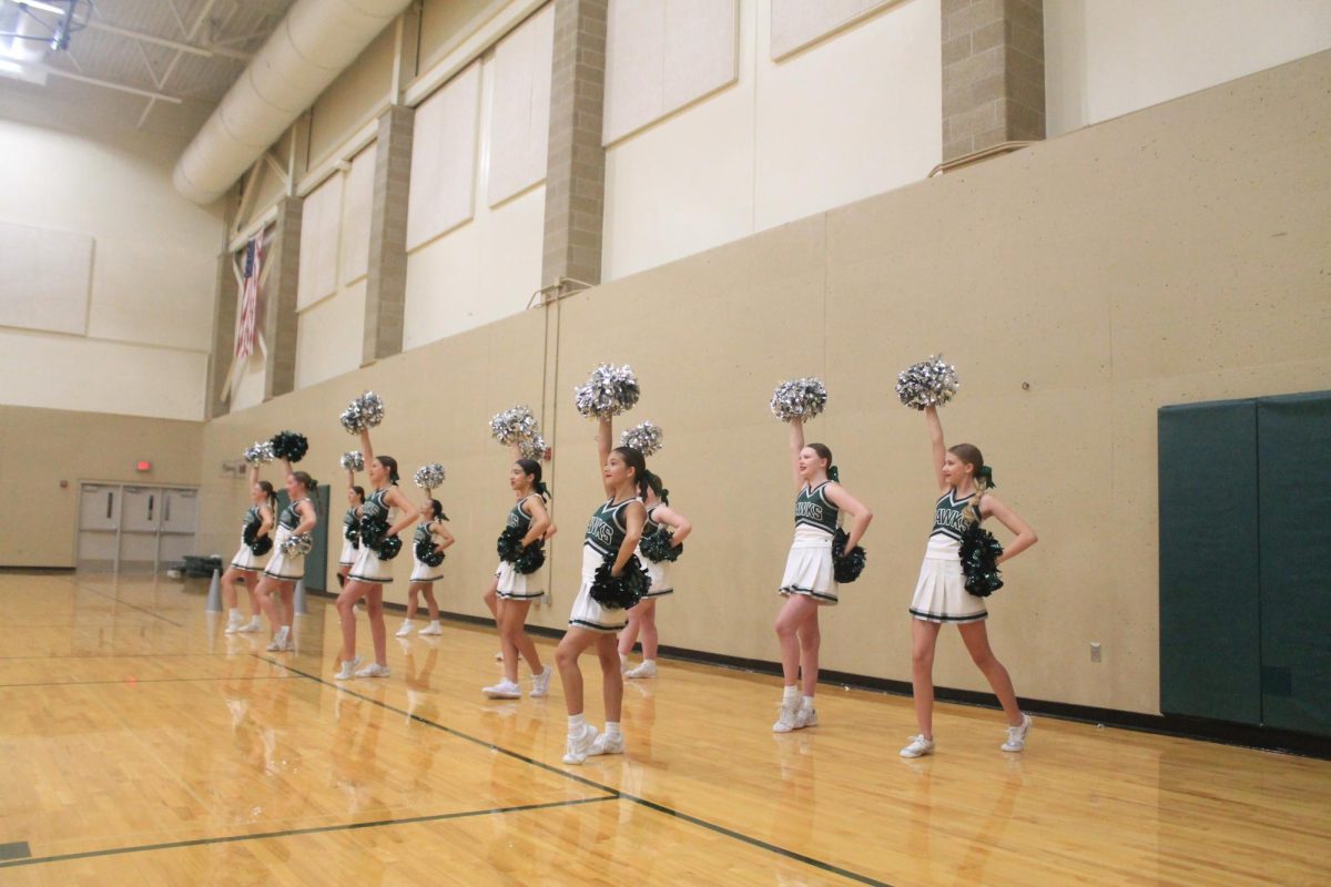 The Freshman cheerleaders