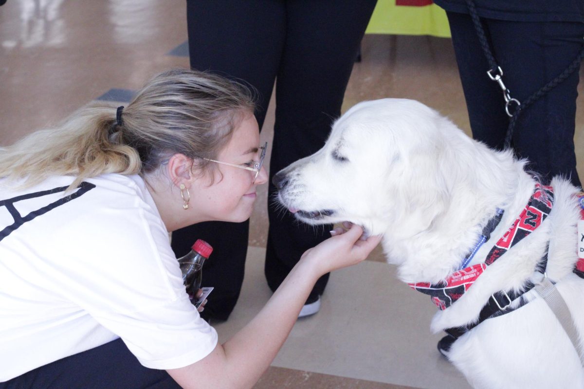Hope Squad Therapy Dogs