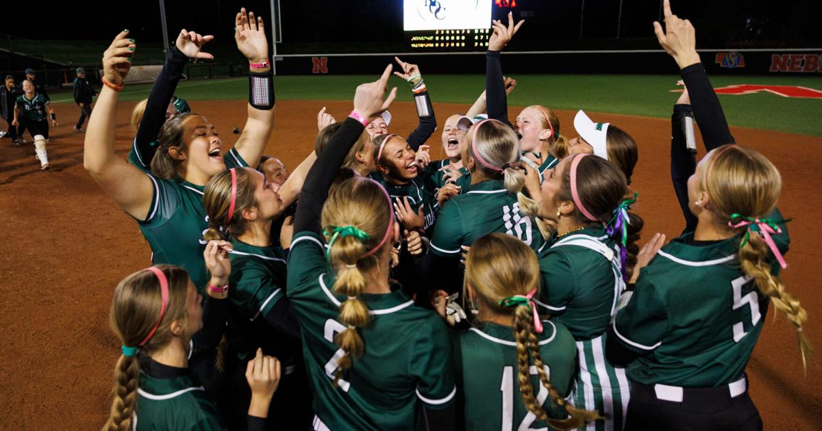 This photo depicts the LSW softball team celebrating after the final inning. Their record for the full season ended up being 35-3.